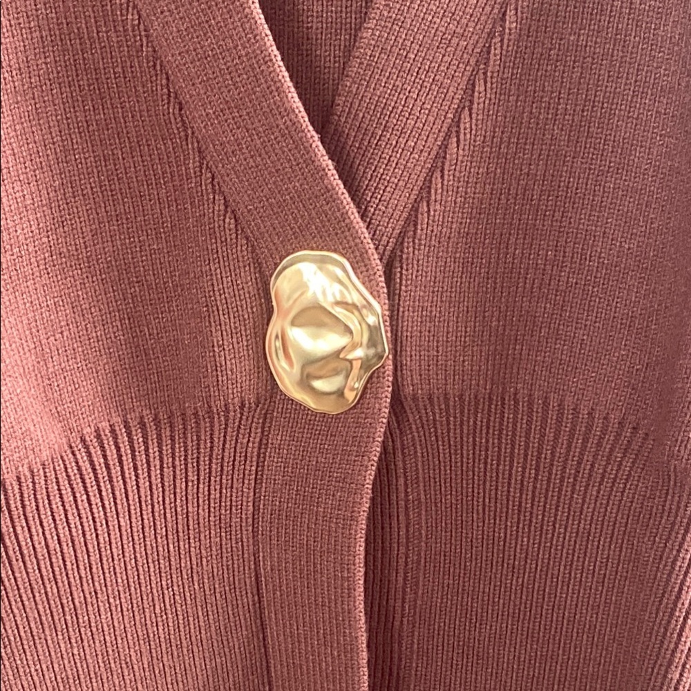 NWOT Brown V-Neck Sweater with Gold Button - Picture 6 of 9